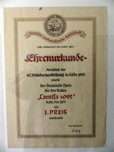Glanviehzucht