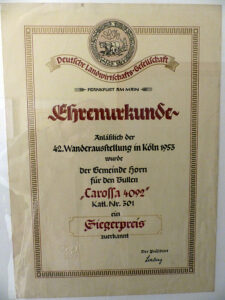 Glanviehzucht